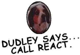 Call_React_Pest_Control_Inc