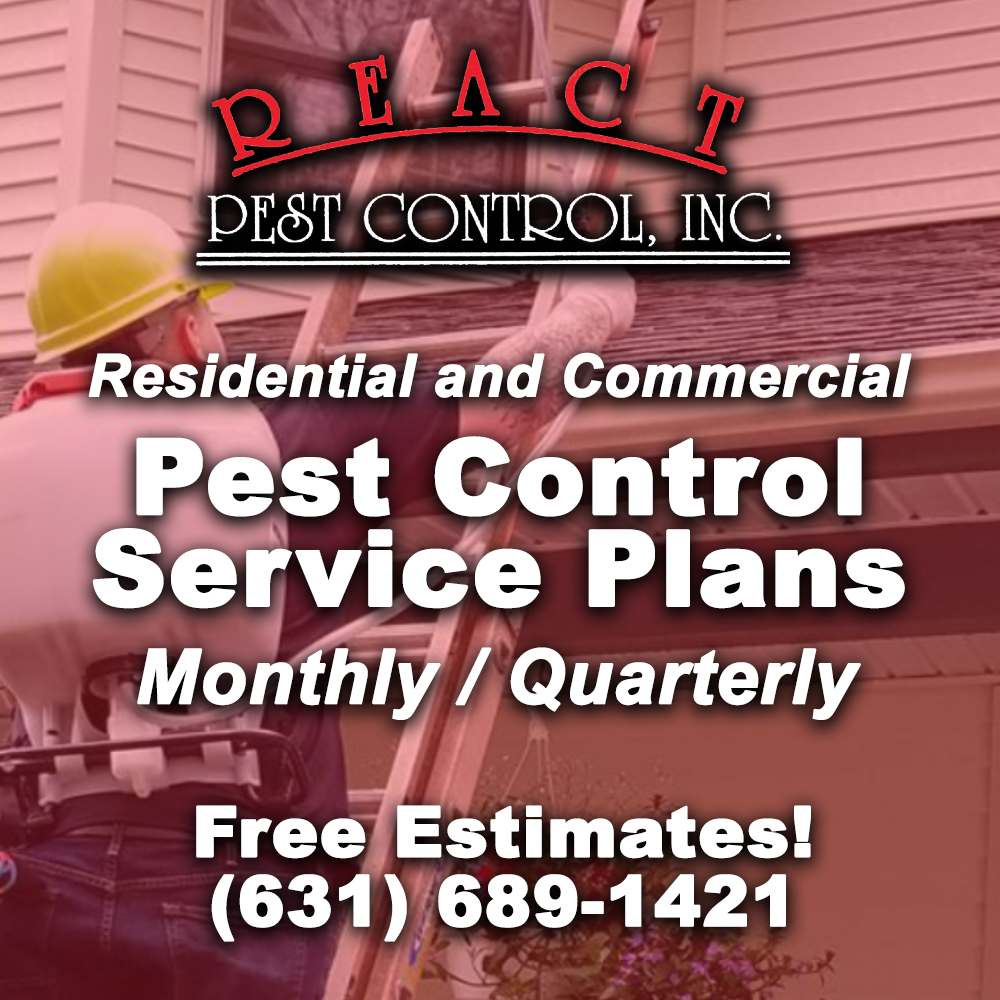 Pest Control Service Plan