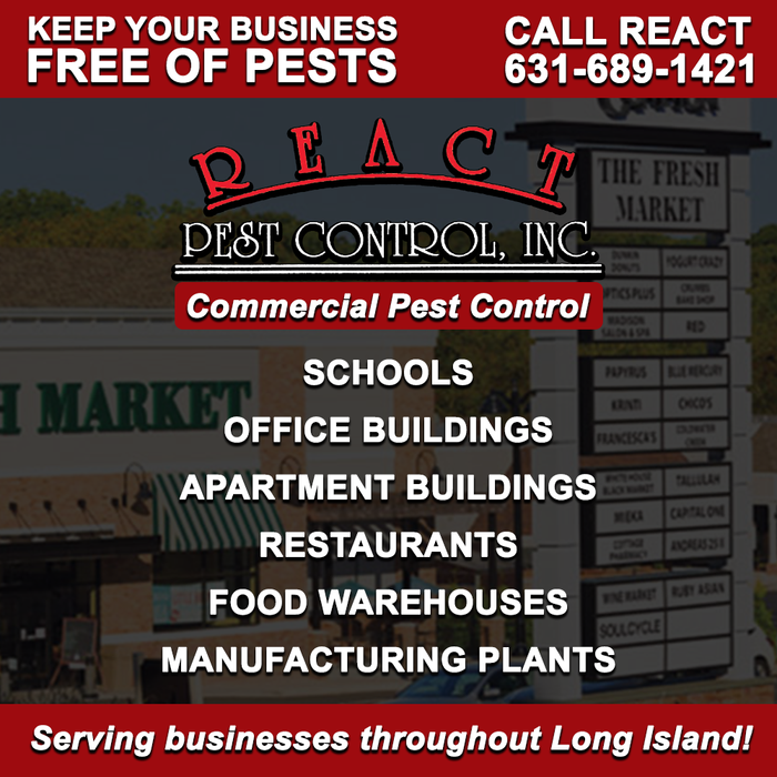 Commercial Pest Control Long Island